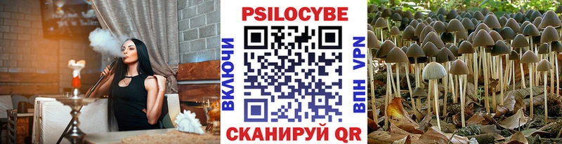 Галлюциногенные грибы мухоморы  магазин продажи наркотиков  Рыбное 